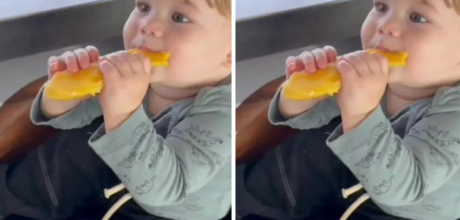 Jos&eacute; Leonardo rouba a cena ao comer fruta
