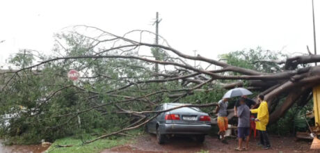 Ventos de 89 km/h causam estragos em Campo Grande e chuva segue para regi&atilde;o norte