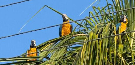 Coxim amanhece com sol forte e domingo de calor intenso neste 23 de novembro