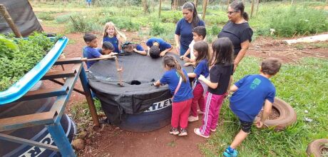 Projeto em escola rural busca manter jovens no campo com tecnologias sociais e gera&ccedil;&atilde;o de renda
