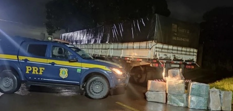 Pol&iacute;cia apreende 241 kg de maconha em caminh&atilde;o na BR-262, em Ribas do Rio Pardo
