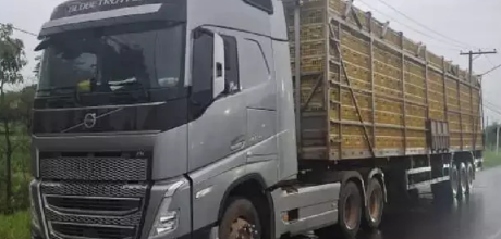 Grupo &eacute; preso em flagrante por furto de frangos vivos de caminh&atilde;o em posto desativado
