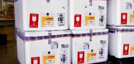 MS recebe 10 mil doses de vacina contra v&iacute;rus respirat&oacute;rio; veja quem pode se imunizar