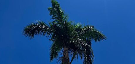 Ter&ccedil;a-feira ser&aacute; de calor e possibilidade de chuva em Coxim