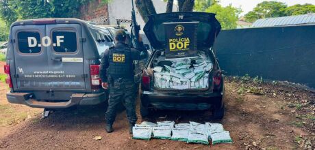 DOF apreende ve&iacute;culo com cerca de 700 quilos de agrot&oacute;xicos contrabandeados em assentamento
