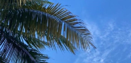 Coxim enfrenta domingo de calor intenso e nuvens com possibilidade de chuva