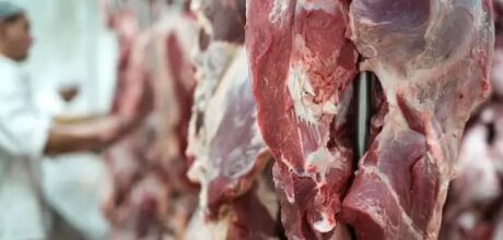 China imp&otilde;e cotas e tarifa extra para carne bovina brasileira, impactando exporta&ccedil;&otilde;es de MS at&eacute; 2028