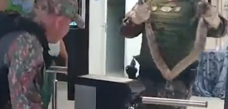 Jiboia tenta entrar no TCE-MS pela catraca, mas n&atilde;o tinha reconhecimento facial cadastrado
