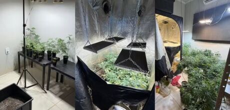 Pol&iacute;cia descobre laborat&oacute;rio com 121 p&eacute;s de maconha ao investigar amea&ccedil;a de vazamento de 'nudes'