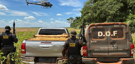 DOF apreende 1,95 tonelada de maconha ap&oacute;s persegui&ccedil;&atilde;o com helic&oacute;ptero em Ponta Por&atilde;
