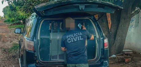 Idoso &eacute; preso preventivamente suspeito de abusar sexualmente de tr&ecirc;s netas
