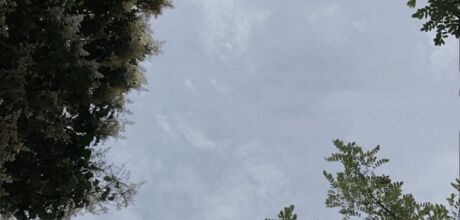  S&aacute;bado amanhece nublado e com previs&atilde;o de chuva em Coxim