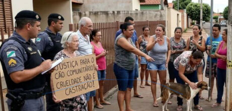 Homem amarra e castra cachorro com faca no meio da rua em MS