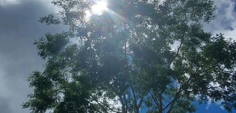 Sol, calor e possibilidade de pancadas de chuva marcam o s&aacute;bado (14) em Coxim
