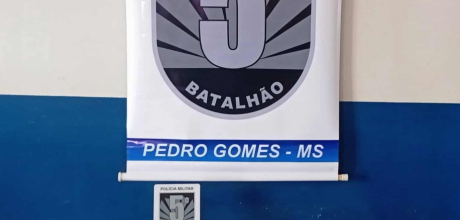 Homem &eacute; preso por furto e porte ilegal de arma ap&oacute;s abater carneiro em Pedro Gomes
