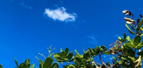 Calor intenso e tempo inst&aacute;vel: s&aacute;bado em Coxim ter&aacute; sensa&ccedil;&atilde;o de abafamento e risco de chuva