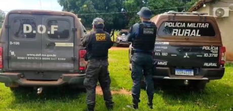 PM recupera 34 cabe&ccedil;as de gado furtadas e prende suspeito de recepta&ccedil;&atilde;o em MS
