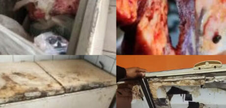 Quase 1 tonelada: fiscaliza&ccedil;&atilde;o encontra carnes sem selo e risco de contamina&ccedil;&atilde;o em com&eacute;rcio de MS