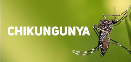 Chikungunya avan&ccedil;a em Mato Grosso do Sul e 2026 j&aacute; se aproxima do pior cen&aacute;rio da hist&oacute;ria