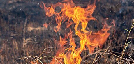 Per&iacute;odo de proibi&ccedil;&atilde;o das queimadas come&ccedil;a em julho e acende alerta para risco de inc&ecirc;ndios em Coxim 