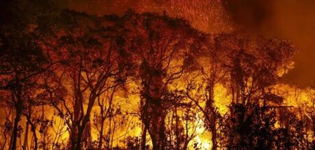 STF cobra plano contra queimadas no Pantanal e d&aacute; prazo de 10 dias para Uni&atilde;o e estados