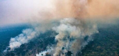 Mato Grosso do Sul decreta emerg&ecirc;ncia ambiental e refor&ccedil;a combate preventivo a inc&ecirc;ndios