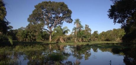 &Aacute;guas voltam a avan&ccedil;ar sobre o Pantanal 
