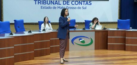 TCE-MS refor&ccedil;a fiscaliza&ccedil;&atilde;o de pol&iacute;ticas para mulheres e defende a&ccedil;&otilde;es integradas contra a viol&ecirc;ncia