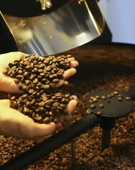 Brasil exporta 46 milh&otilde;es de sacas de caf&eacute;, atingindo recorde em 2024