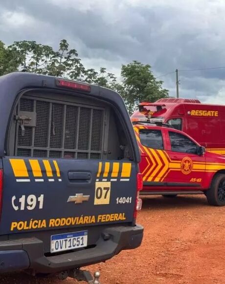 Ap&oacute;s fugir da PRF, homem morre atacado por abelhas