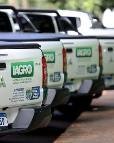 Com nova frota de ve&iacute;culos e refor&ccedil;o de servidores, Iagro amplia e fortalece fiscaliza&ccedil;&atilde;o em MS