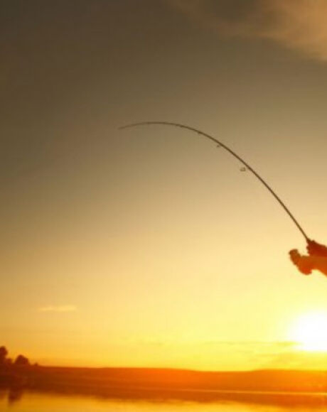 Pescadores contestam projeto que pro&iacute;be a pesca de 29 esp&eacute;cies de peixes em Mato Grosso do Sul