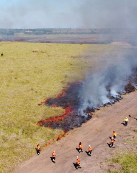 Governo de MS moderniza controle de queimadas e fortalece preven&ccedil;&atilde;o a inc&ecirc;ndios florestais