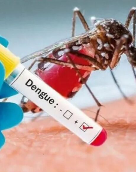 Casos de dengue tipo 3 s&atilde;o registrados em 15 munic&iacute;pios de MS e deixa &oacute;rg&atilde;os respons&aacute;veis em alerta