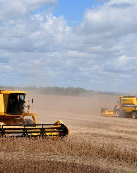 Produ&ccedil;&atilde;o agr&iacute;cola de Mato Grosso do Sul deve chegar a 75,3 milh&otilde;es de toneladas na safra 2024/25