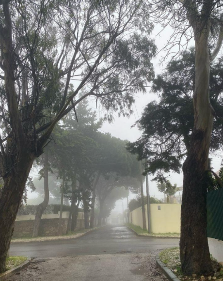 Coxinense que gosta de frio pode comemorar: primeira frente fria do ano chega nos primeiros dias de 