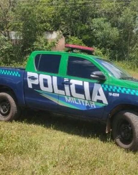 Den&uacute;ncia de abate de on&ccedil;as-pardas em Camapu&atilde; leva a investiga&ccedil;&atilde;o de crime ambiental
