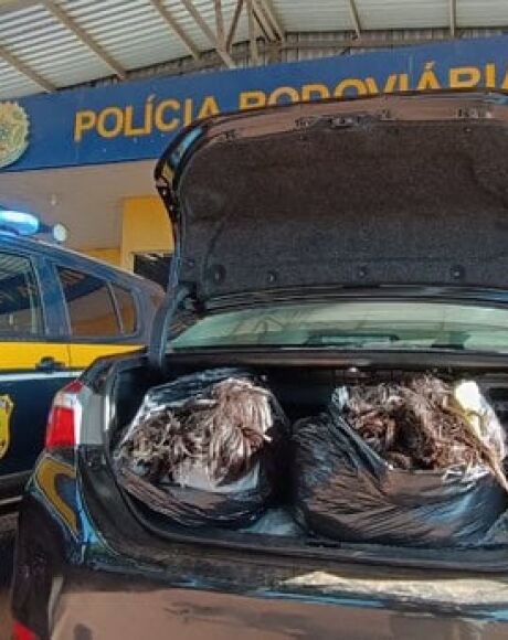 PRF apreende 70 kg de cabelo humano sem nota fiscal na BR-262
