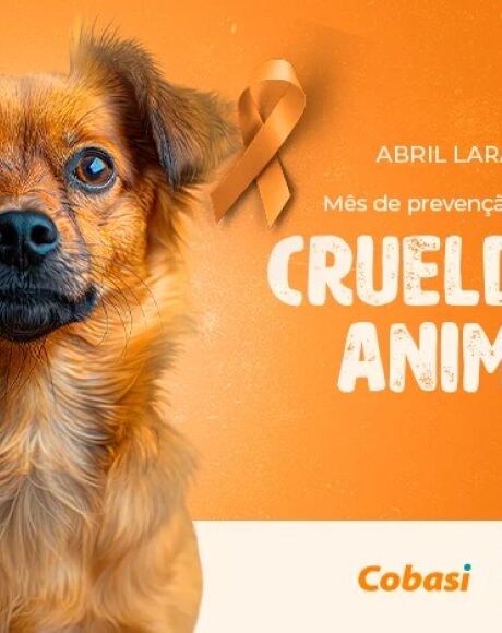 M&ecirc;s de Conscientiza&ccedil;&atilde;o e Preven&ccedil;&atilde;o da Crueldade contra os Animais