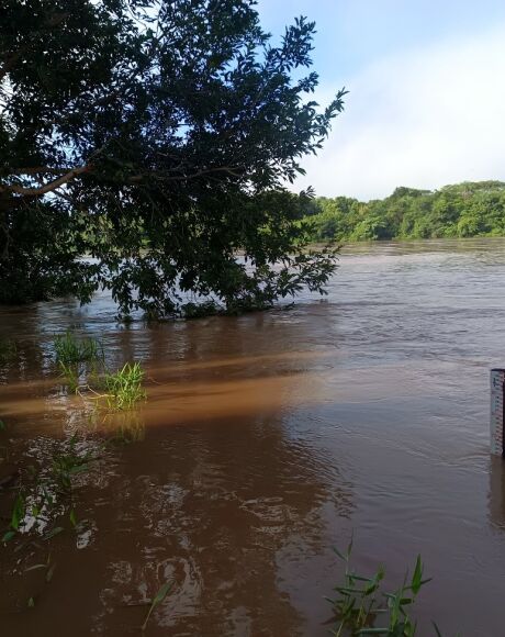 Rio Taquari come&ccedil;a a ser monitorado pela Defesa Civil de Coxim ap&oacute;s chuvas intensas