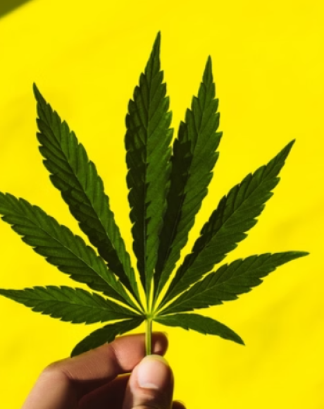 Crian&ccedil;as passam mal ap&oacute;s comerem balas com maconha na Holanda