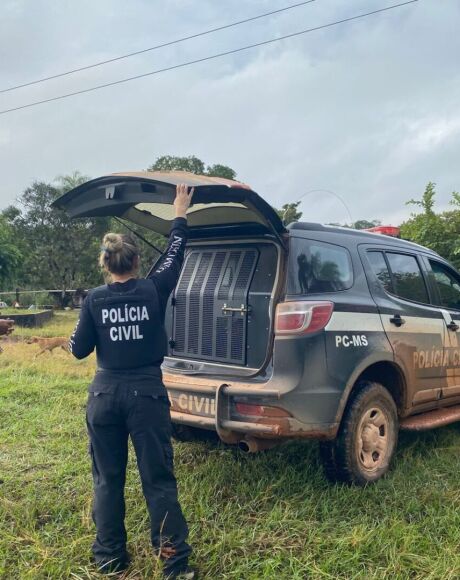 Homem condenado por estupro de vulner&aacute;vel &eacute; preso pela DAM em Coxim
