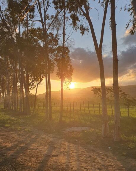       Ter&ccedil;a-feira (29) de temperaturas baixas e tempo segue seco em Coxim