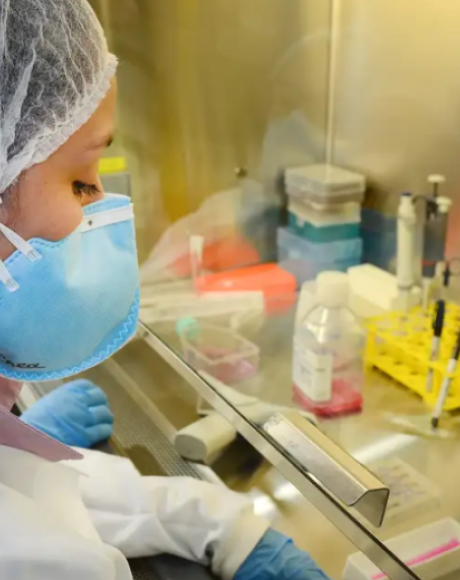 Vacina contra zika desenvolvida pela USP apresenta resultados positivos em testes com camundongos
