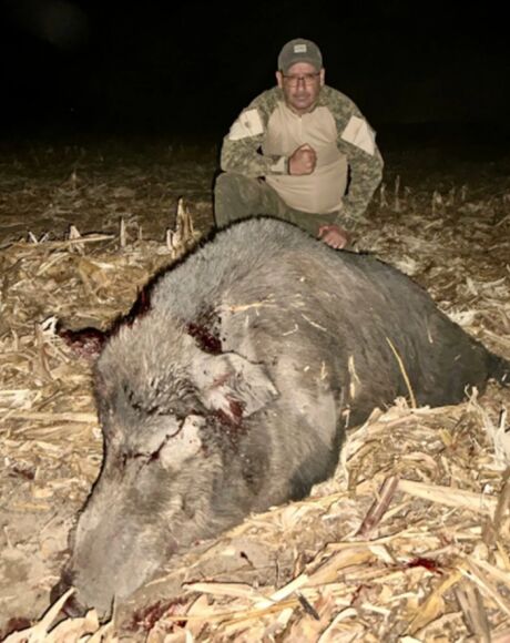 Ca&ccedil;ador de Costa Rica abate javali de 300 kg e 2,20 m, o maior j&aacute; visto na regi&atilde;o
