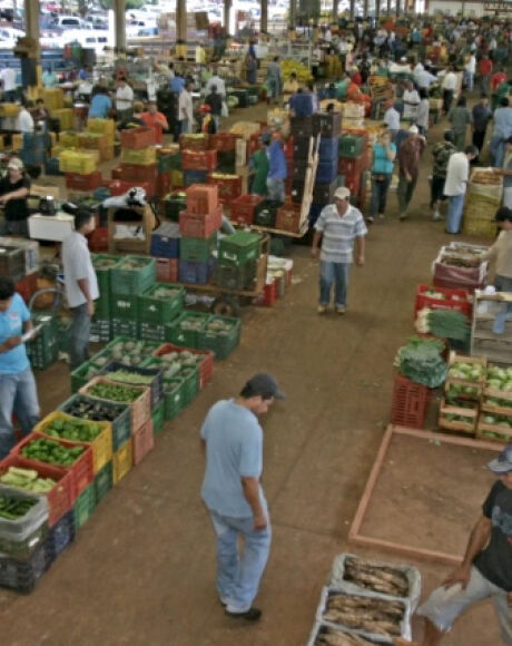 Ceasa-MS recebe frutas e hortali&ccedil;as de v&aacute;rios estados e do exterior; banana lidera vendas em 2025
