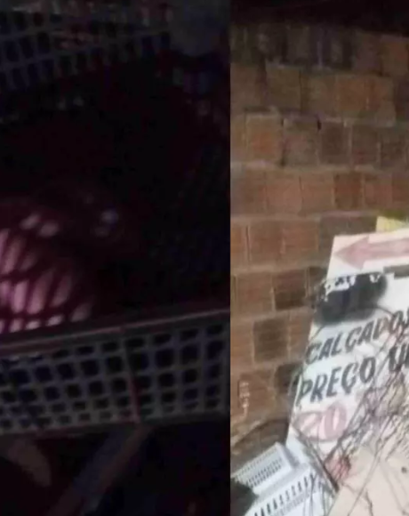 Rec&eacute;m-nascido &eacute; encontrado abandonado em caixa de frutas no quintal de casa em MS
