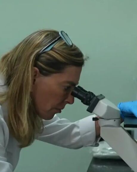 Medicamento experimental brasileiro
devolve mobilidade a pessoas tetrapl&eacute;gicas