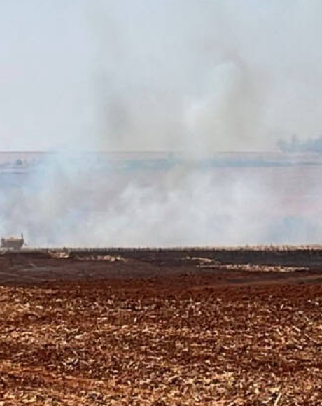For&ccedil;a-tarefa atua no combate a inc&ecirc;ndio que iniciou em carreta na BR-163 e atingiu propriedades 