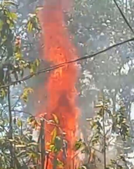 Falta de manuten&ccedil;&atilde;o da Energisa provoca inc&ecirc;ndio e deixa moradores sem energia na zona rural Coxim
